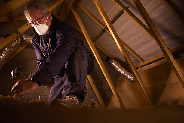 Best Commercial Insulation in Pahrump, NV